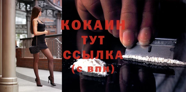 индика Абинск