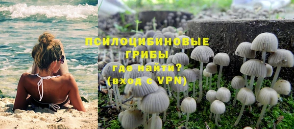 индика Абинск