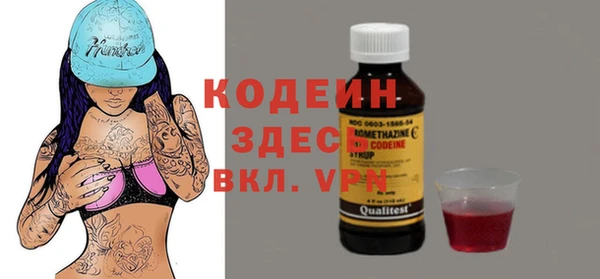 индика Абинск