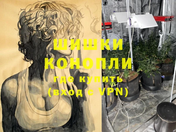 индика Абинск