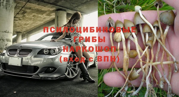 индика Абинск