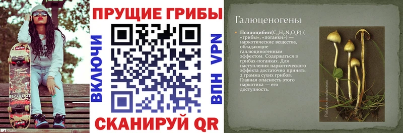 hydra рабочий сайт  Монино  Галлюциногенные грибы Magic Shrooms 